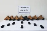 کشف سلاح، مهمات و نارنجک در تهرانپارس| متهم دستگیر شد