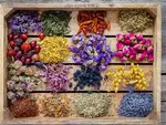 خواص مضرات «گل‌ گاو زبان» برای زنان را بدانید