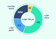 خواب ۴ مرحله‌ای با بدن چه می‌کند؟