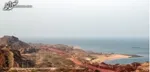 عامل شهادت شهیدان 