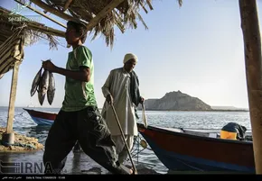 تصاویر/ هنر هفت‌هزار ساله آجر پزی