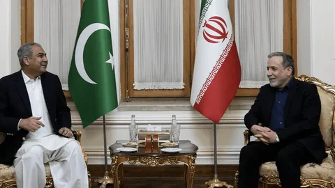 وزیر کشور پاکستان با عراقچی دیدار کرد