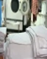 همه آنچه باید درباره آنفولانزای پرندگان بدانید / مردم نگران مصرف مرغ و تخم مرغ نباشند