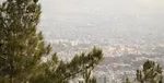 آسمان امشب شهاب باران می‌شود