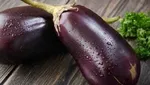 کاهش اشتها و گرسنگی با ۱۲ روش علمی