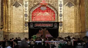 گزارش تصویری | حرم مطهر رضوی در آستانه ایام شهادت امیرالمومنین سیاه پوش شد