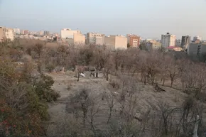 تصاویر / فصل لاله‌ها در باغ ایرانی