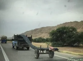 عکس/ دیوار 
