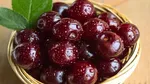 میوه ارزان می‌شود