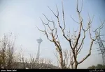 فعلاً به مدیریت بحران دل خوش نباشید!