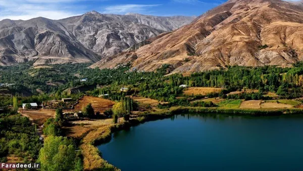 تنها حیات وحش ایران موش و سوسک است. یوزپلنگ ایرانی که یک اسم بی‌معنی است!
