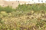 اسراری از مکان‌های مخوف و عجیب ایران +تصاویر
