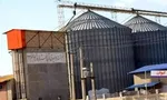 خودکشی تلخ سرباز جوان در سازمان نظام وظیفه + عکس