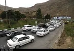 چه میزان از جنگل‌های کشور در آتش سوختند؟