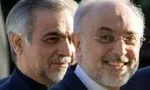 ولایتی: اجرای برجام 8سال طول می‌کشد