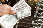 قیمت جدید دلار، یورو و سایر ارزها امروز ۱۹ تیرماه ۱۴۰۴