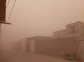 تصاویر / هنرمندان سرشناس در مراسم تشییع پیکر رضا صفایی‌پور