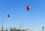 بالن‌های تبلیغی شهرداری در چیتگرشمالی حادثه آفرید +عکس