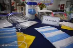 کروناویروس از طریق پشه منتقل می‌شود؟
