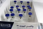 دهه فجر پایان اپیدمی کرونا در کشور خواهد بود