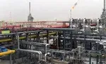 بیش‌از ۱.۵ هکتار از عرصه‌های جنگی شرق مازندران در آتش سوخت