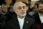 واکنش علی اکبر صالحی به آتش‌بس غزه