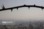 شاخص آلودگی هوای تهران امروز ۳۱ تیر ۱۴۰۴