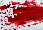 پایان خونین عشق زن ۴۶ ساله و پسر ۲۶ ساله