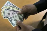 قیمت دلار در بازار آزاد امروز دوشنبه ۱۴ اردیبهشت ۱۴۰۵| نرخ‌ها شوکه‌کننده شد +جدول