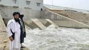 تصاویر| حالِ خوبِ «هامون»
