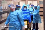 غذا‌های مفید برای پیشگیری از ویروس کرونا