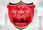 موضوع فروزان ربطی به وزیر ورزش ندارد