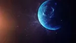 ۱۵ گونه‌ جانور نادر که تاکنون چیزی در مورد آن‌ها نشنیده اید + تصاویر