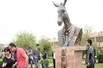 عکس/ مجسمه آزادی غرق شد