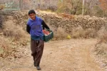 تصاویری جالب از دعوای پرنده‌ها