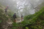 نجات ۹ کوهنورد گرفتار در برف و کولاک کلکچال