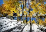 پاسکاری مسئولان برای کم‌رنگ کردن آلودگی هوا/ بنزین کشور آلودگی دارد؟