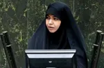 وزیر اطلاعات: در رژیم صهیونیستی نفوذ داریم