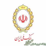 تاکید معاون امور ارزی و بين الملل بانک ملی ایران بر ظرفیت های بخش ارز در افزایش سوددهی شعب