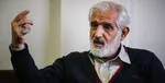 چه سری، چه دُمی، عجب پایی! + عکس
