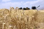 گران شدن ۳ برابری بسته‌بندی دارو