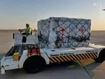 واکسنی که ایمنی بدن در برابر کرونا را تقویت می‌کند