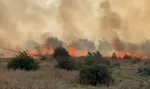 ادعای نتانیاهو: حماس عامل عدم توافق آتش‌بس در غزه است