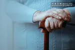 کابینه روحانی،کهن‌سال‌ترین کابینه بعد از انقلاب+جدول و نمودار