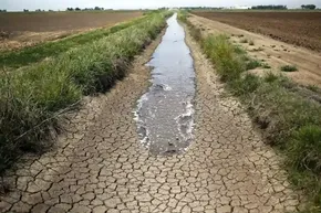 تصاویر/ به دنبال آب برای زنده ماندن