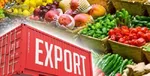 رونمایی از ۲ گزینه خارجی پرسپولیس برای دفاع راست