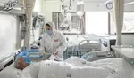 چمران تفکیک جنسیتی اتوبوس‌ها را تکذیب کرد