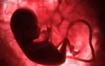 چند هزار نوزاد به نام «علی» در سال ۱۴۰۱ نام گذاری شده اند؟
