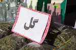 کشف محموله سوهان با طعم «تریاک» +تصاویر
