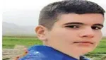 مرد ثروتمند:زنم مرا کتک می زند!